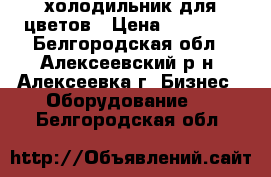 холодильник для цветов › Цена ­ 60 000 - Белгородская обл., Алексеевский р-н, Алексеевка г. Бизнес » Оборудование   . Белгородская обл.